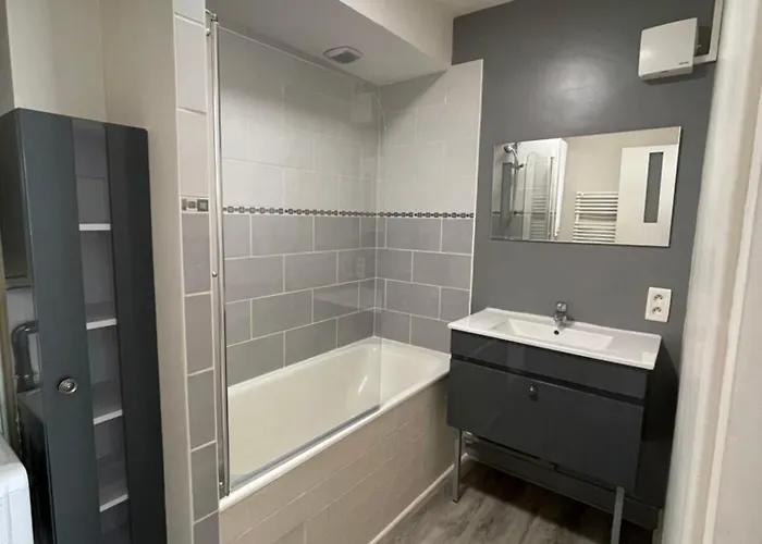 Appartement T2 Centre Ville C1